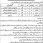 Ammunition Depot Okara Cantt jobs in Pakistan Army Civil