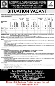 Elementary School Teachers Jobs in FGEI