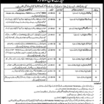 Cadet College Okara